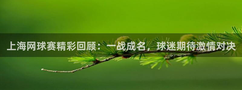 HB火博官网网址：上海网球赛精彩回顾：一战成名，球迷期待激情