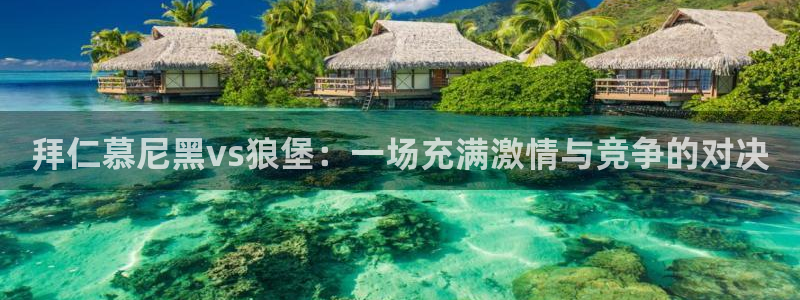 nba在线直播蜘蛛直播：拜仁慕尼黑vs狼堡：一场充满激情与竞争的对决