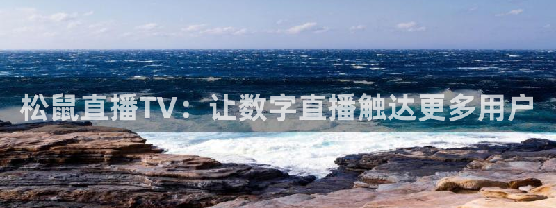 蜘蛛直播nba免费：松鼠直播TV：让数字直播触达更多用户